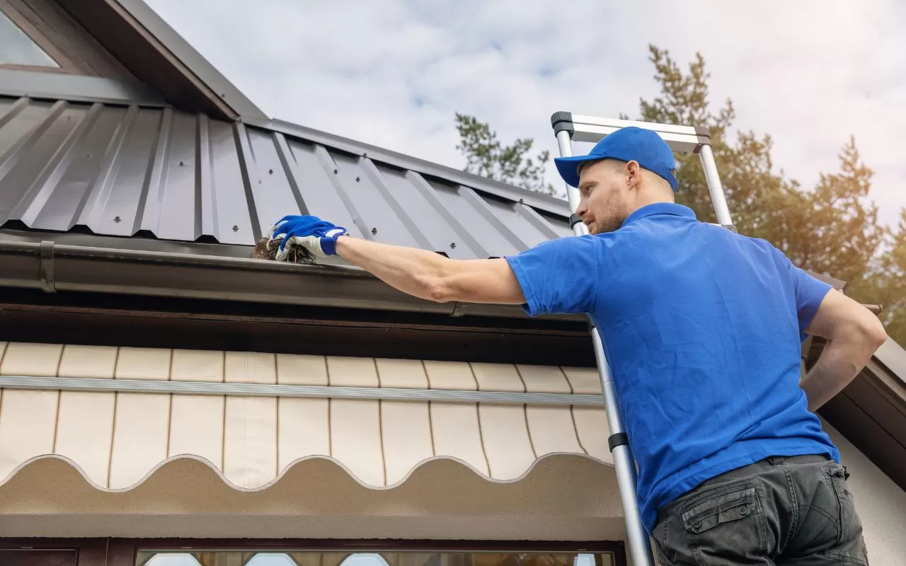 Gutter maintenance tips to extend the life of your roof and foundation.